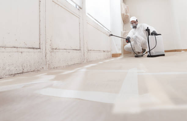 24/7 Emergency Basement Mold Remediation experts in Burlington, MA